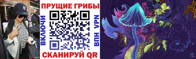 Псилоцибиновые грибы MAGIC MUSHROOMS  цены наркотик  Озёры 